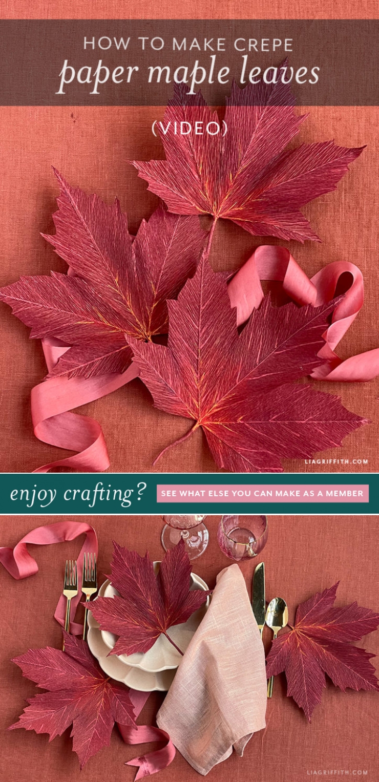 Video: Crepe Paper Maple Leaves - Lia Griffith