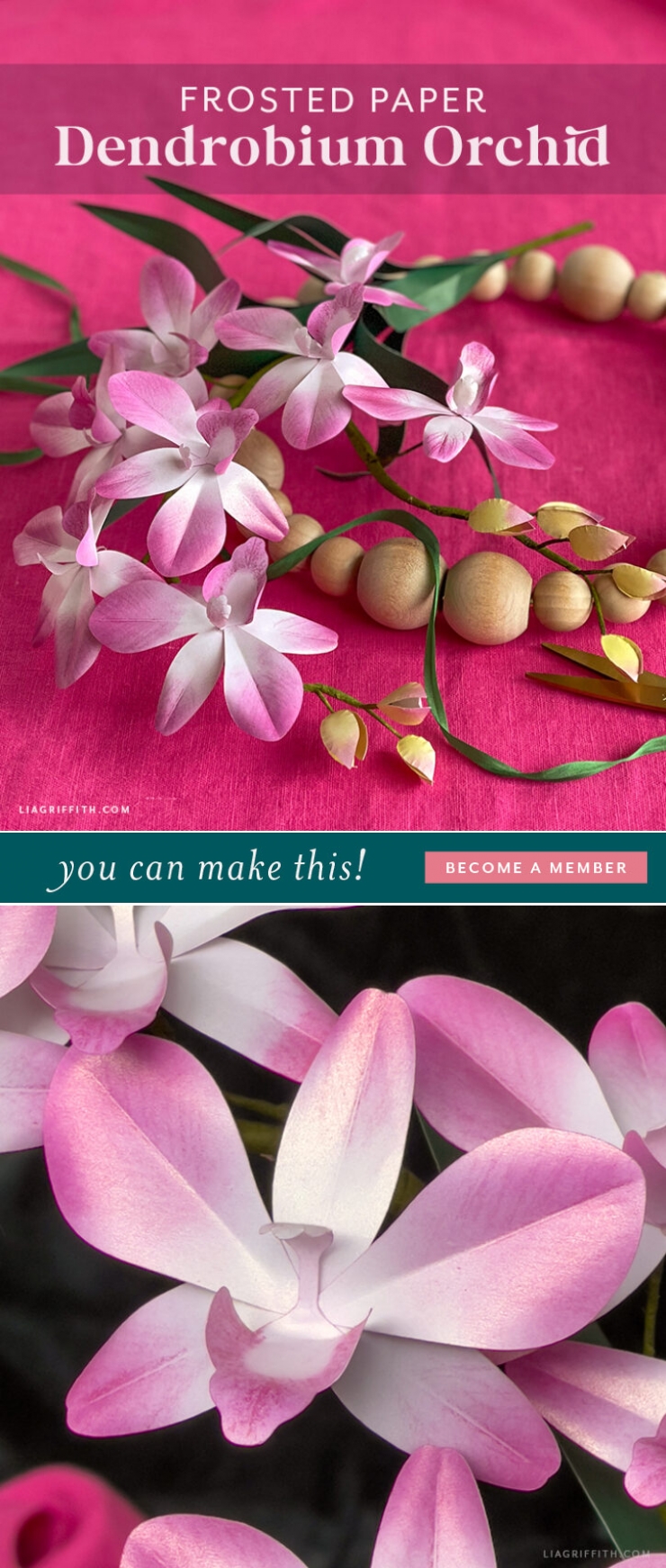 Lia Griffith | Frosted Paper Dendrobium Orchid