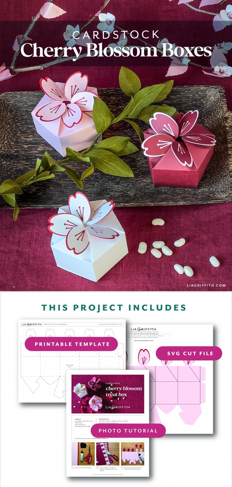 Cherry Blossom Treat Boxes - Lia Griffith