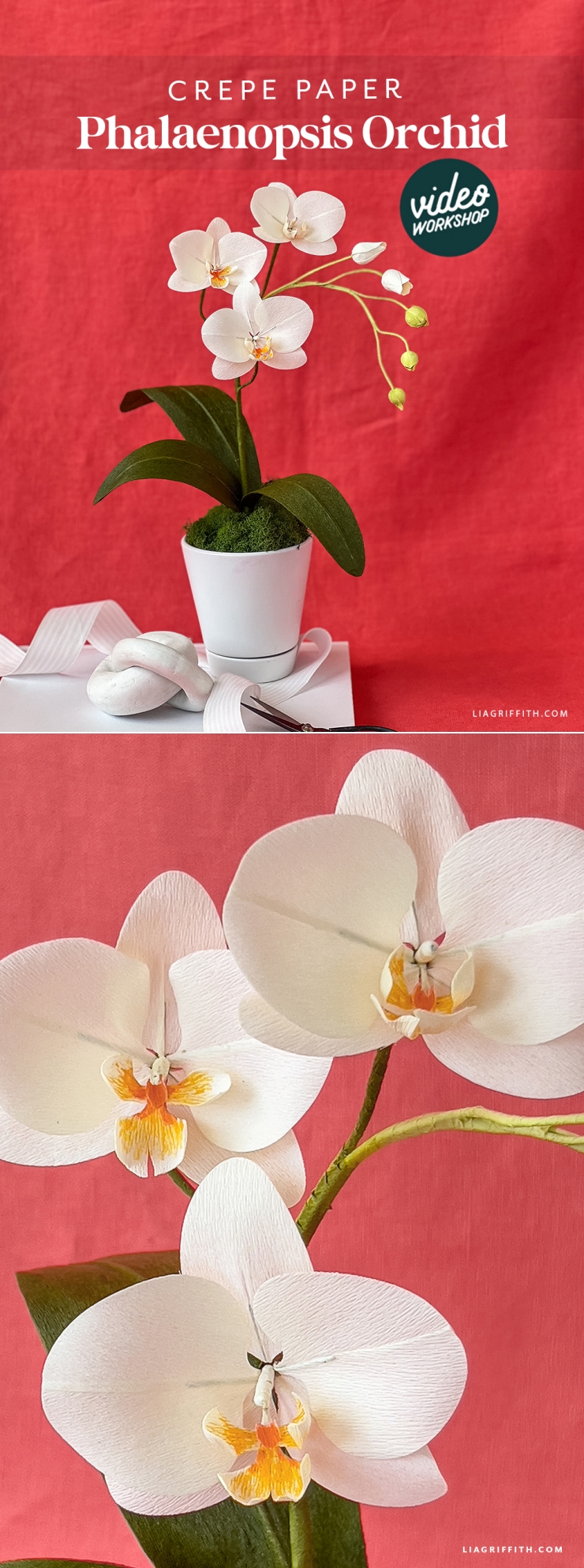 Crepe Paper Orchid Workshop: Create Stunning Blooms - Lia Griffith