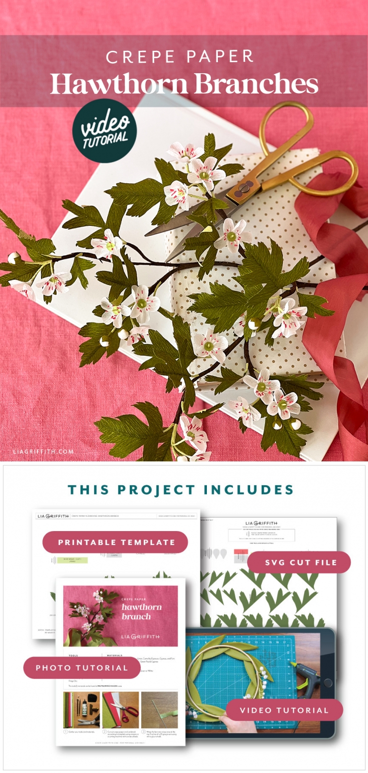 Video Workshop: Crepe Paper Hawthorn - Lia Griffith