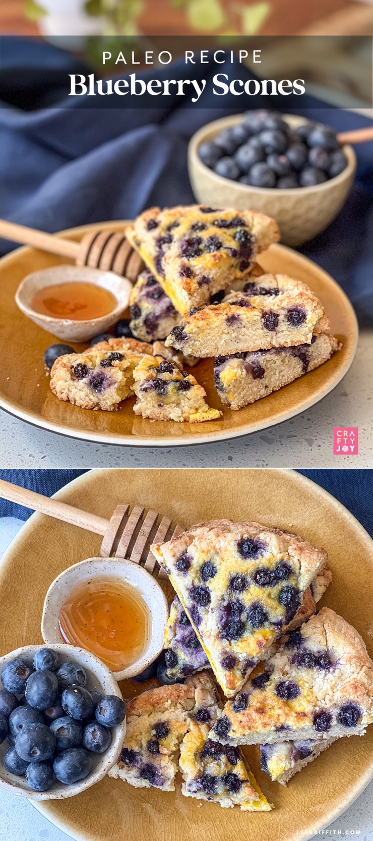Paleo Blueberry Scone Recipe for a Healthy Twist - Lia Griffith