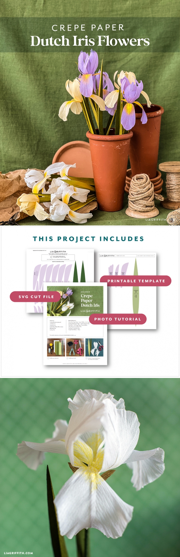 Beginner Crepe Paper Dutch Iris Flowers - Lia Griffith