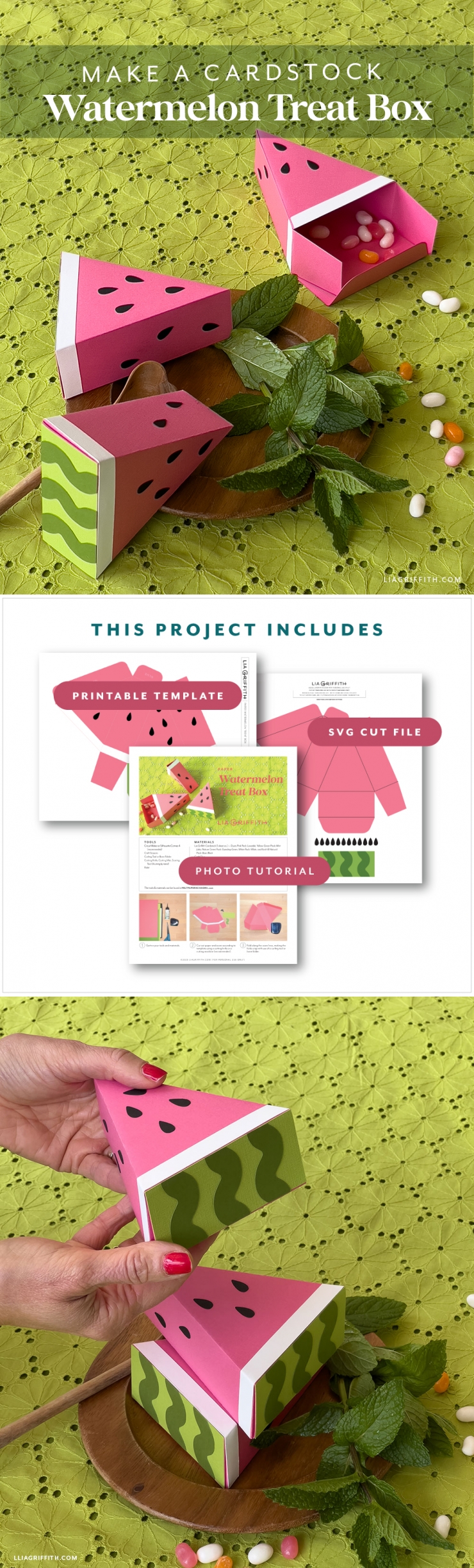 Watermelon Treat Box - Lia Griffith