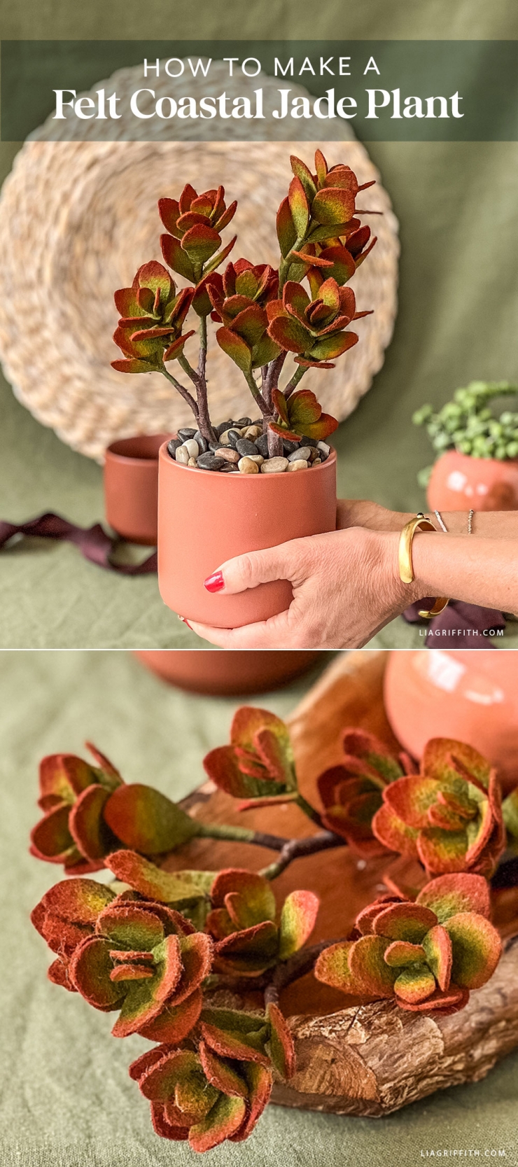 Felt Coastal Jade Plant - Lia Griffith
